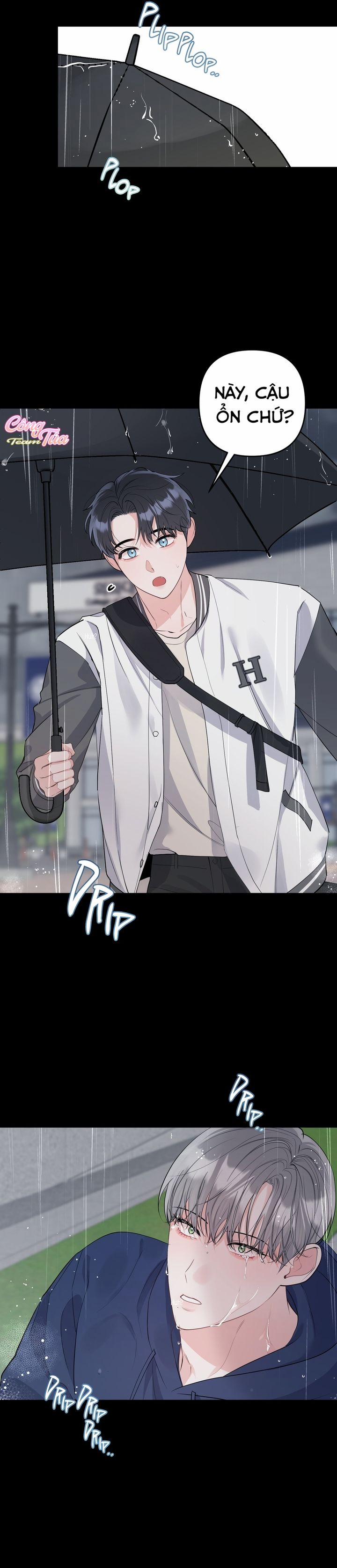 Không Phải Con Mèo Đó, Mà Là Con Mèo Này Này! 3 trang 10