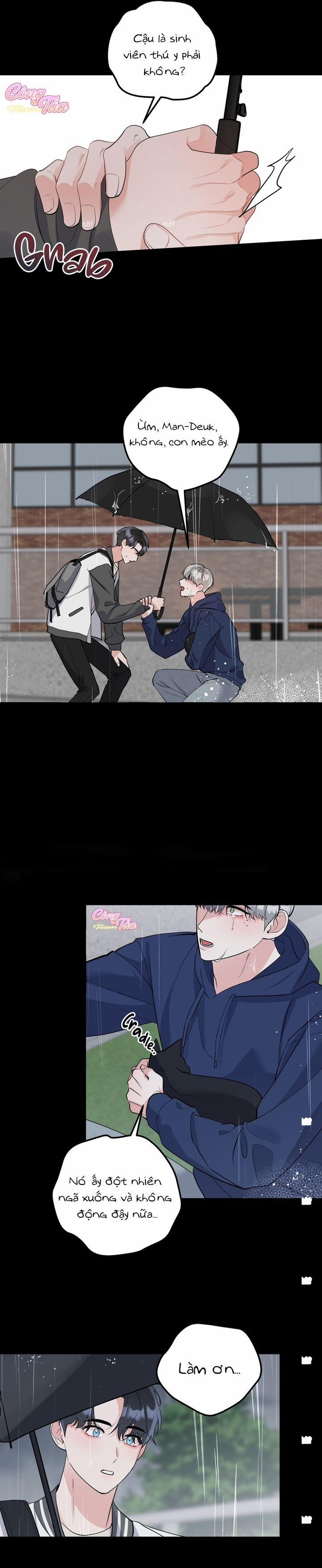 Không Phải Con Mèo Đó, Mà Là Con Mèo Này Này! 3 trang 11