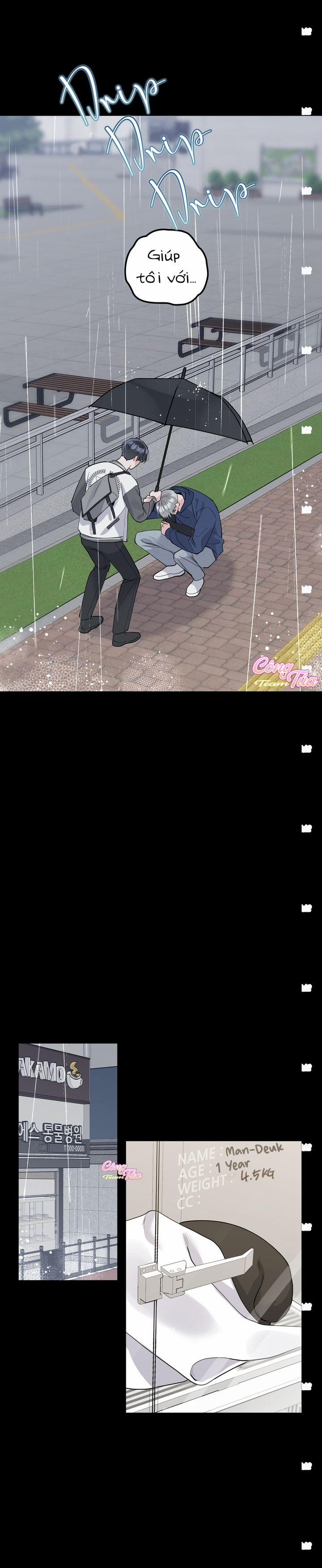 Không Phải Con Mèo Đó, Mà Là Con Mèo Này Này! 3 trang 12