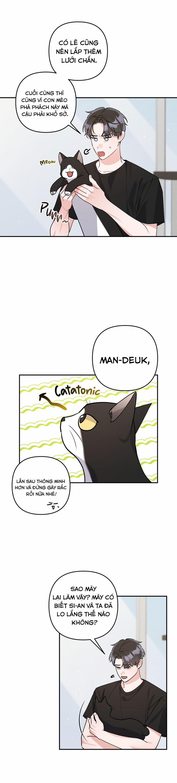 Không Phải Con Mèo Đó, Mà Là Con Mèo Này Này! 3 trang 2