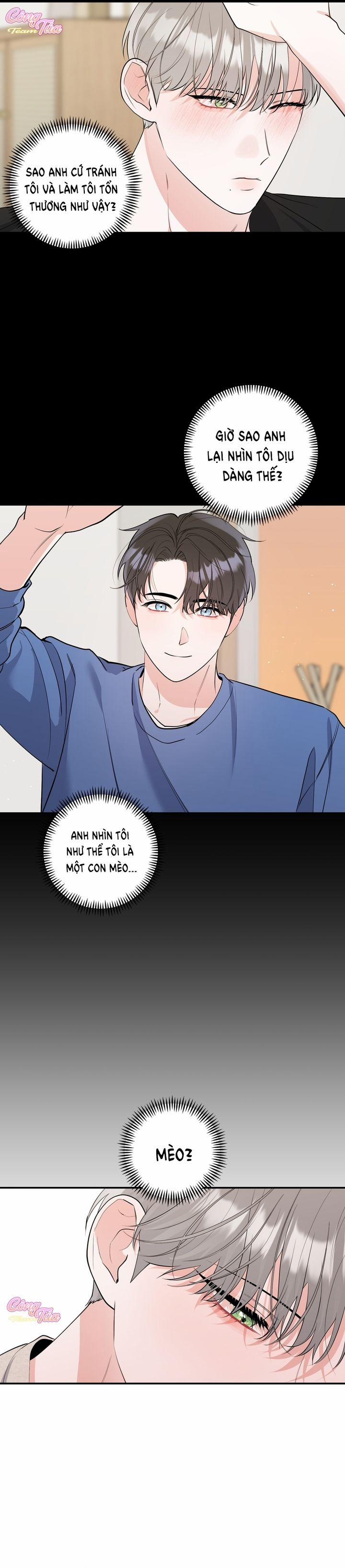 Không Phải Con Mèo Đó, Mà Là Con Mèo Này Này! 3 trang 21