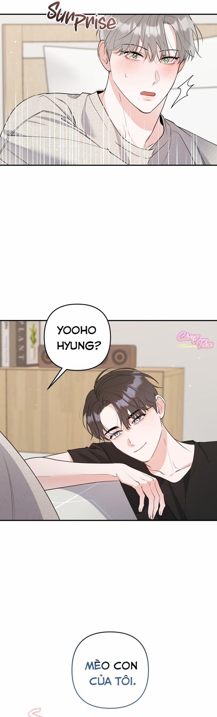 Không Phải Con Mèo Đó, Mà Là Con Mèo Này Này! 3 trang 22