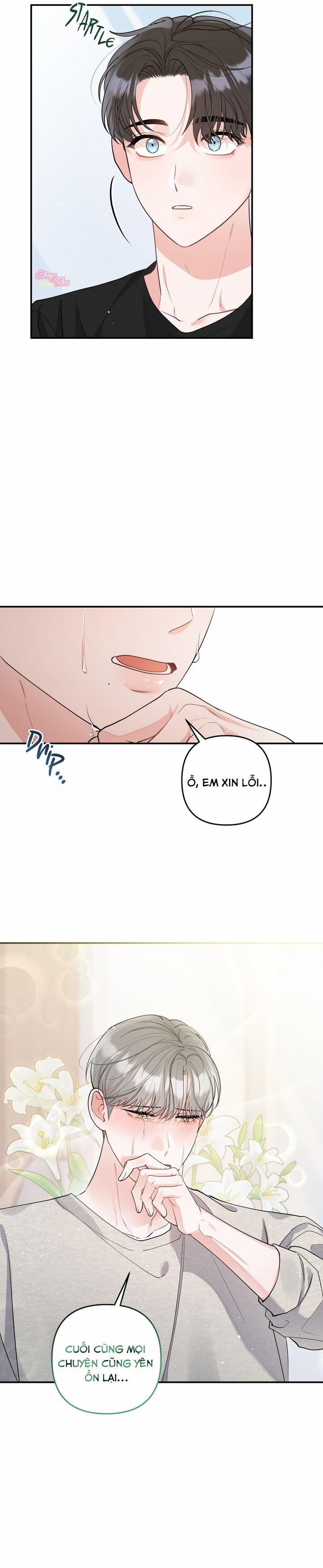 Không Phải Con Mèo Đó, Mà Là Con Mèo Này Này! 3 trang 3