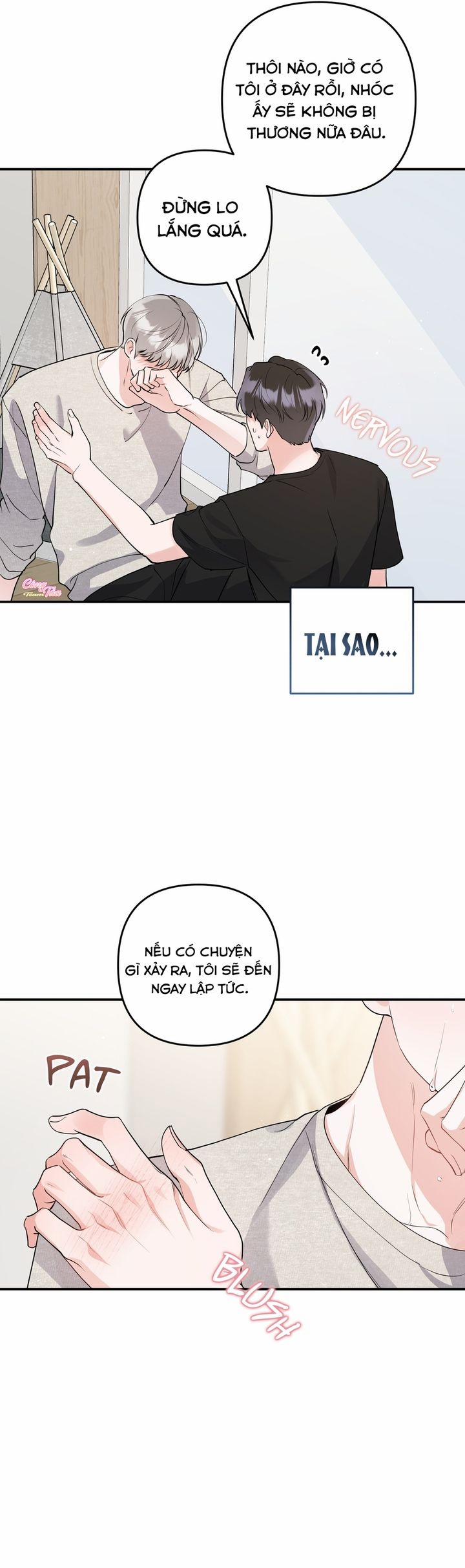 Không Phải Con Mèo Đó, Mà Là Con Mèo Này Này! 3 trang 5