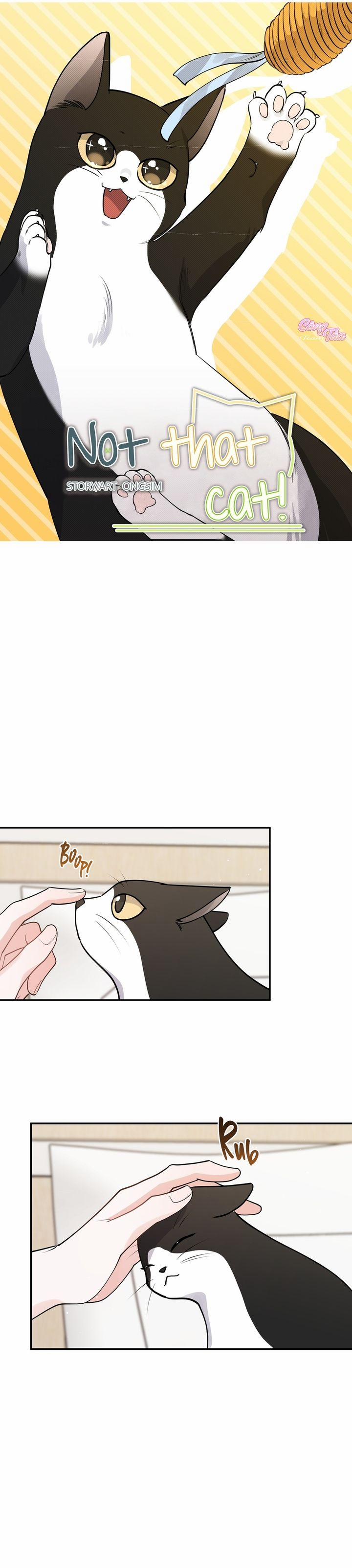 Không Phải Con Mèo Đó, Mà Là Con Mèo Này Này! 3 trang 7