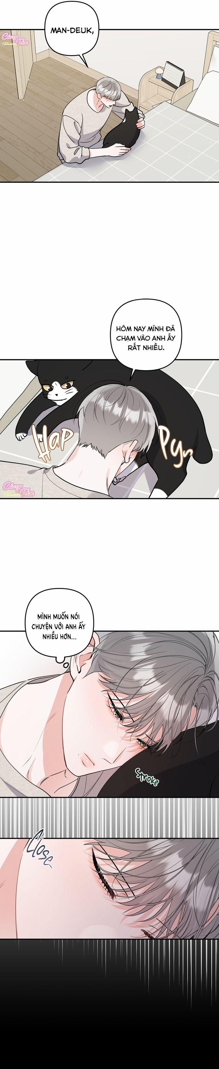 Không Phải Con Mèo Đó, Mà Là Con Mèo Này Này! 3 trang 8