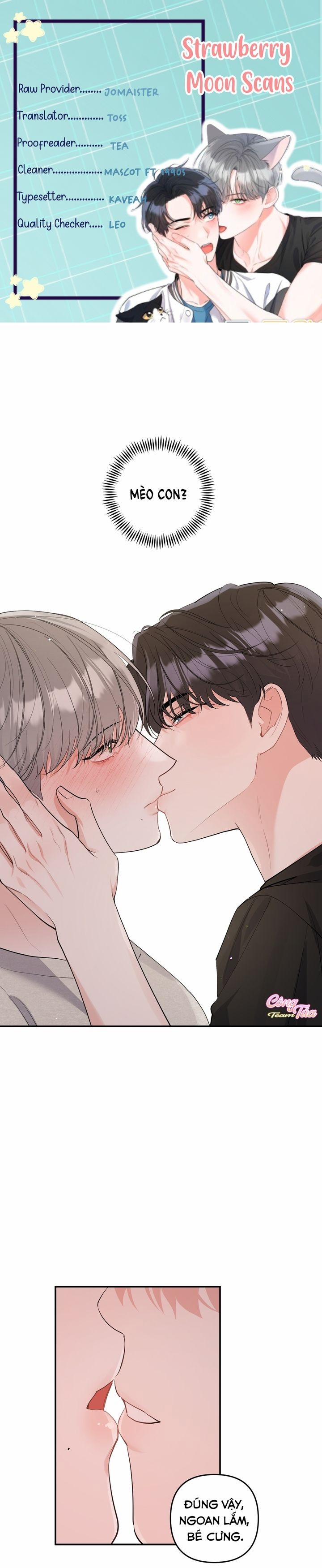 Không Phải Con Mèo Đó, Mà Là Con Mèo Này Này! 4 trang 0