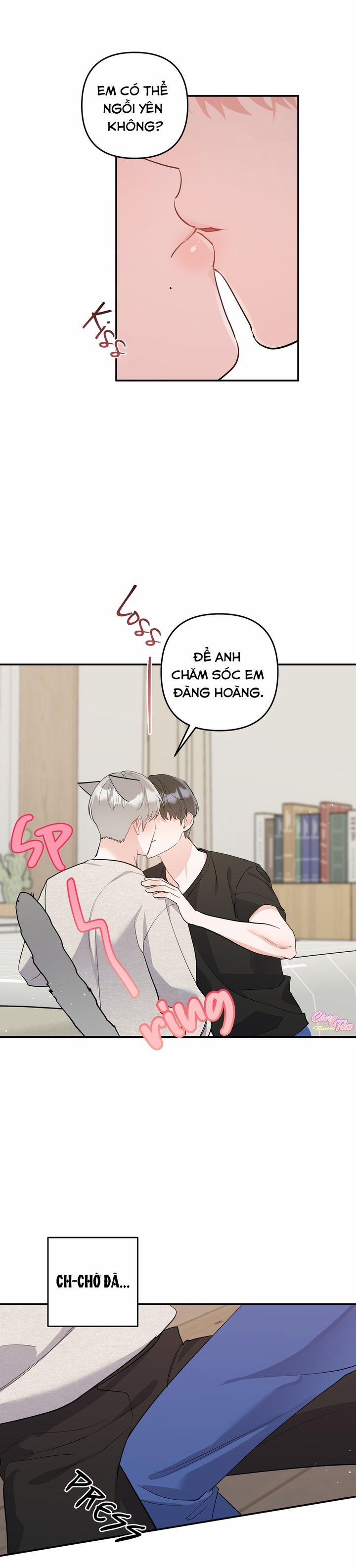 Không Phải Con Mèo Đó, Mà Là Con Mèo Này Này! 4 trang 1