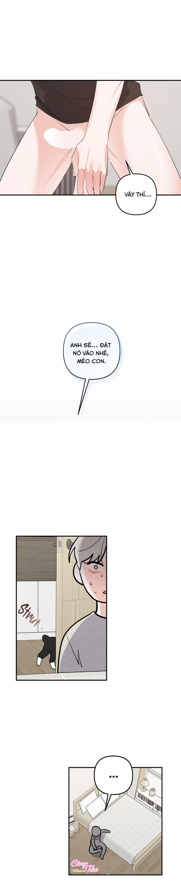 Không Phải Con Mèo Đó, Mà Là Con Mèo Này Này! 4 trang 11