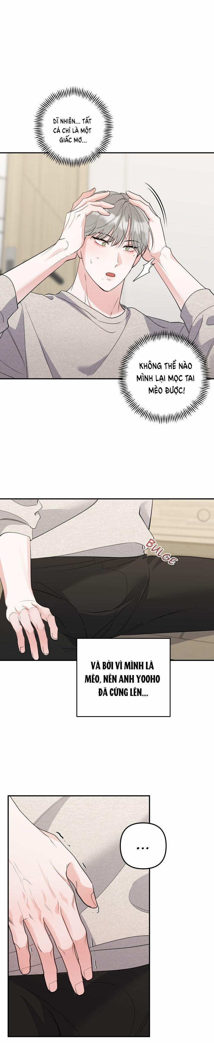 Không Phải Con Mèo Đó, Mà Là Con Mèo Này Này! 4 trang 12