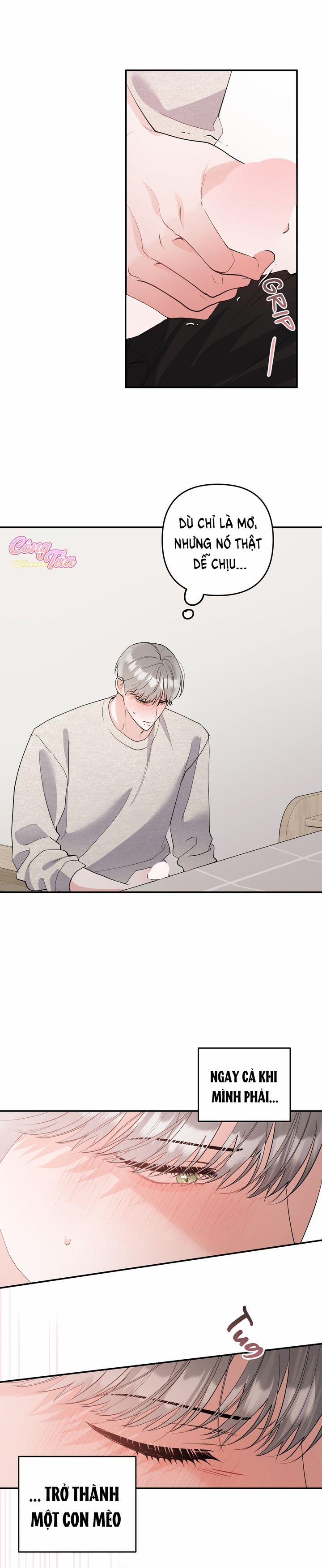 Không Phải Con Mèo Đó, Mà Là Con Mèo Này Này! 4 trang 13