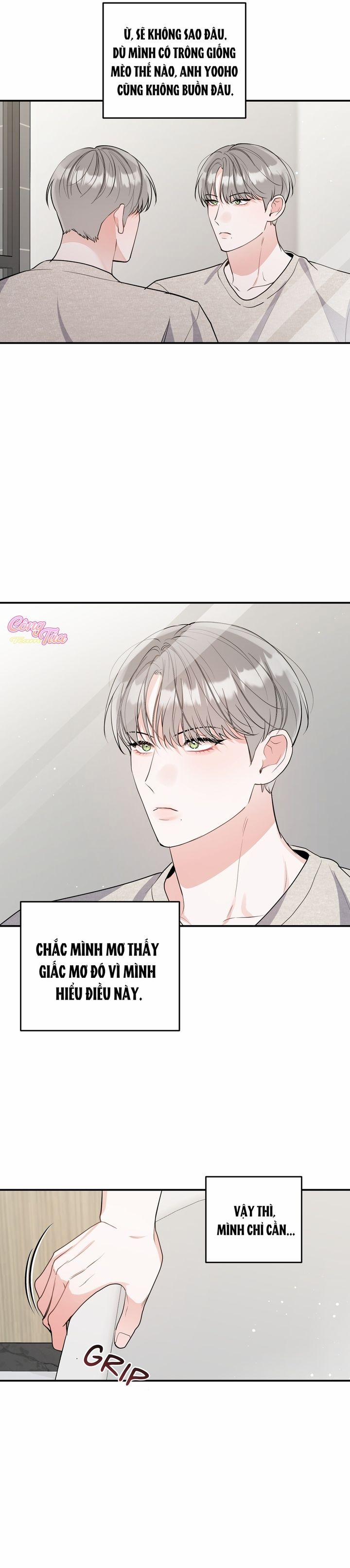 Không Phải Con Mèo Đó, Mà Là Con Mèo Này Này! 4 trang 18