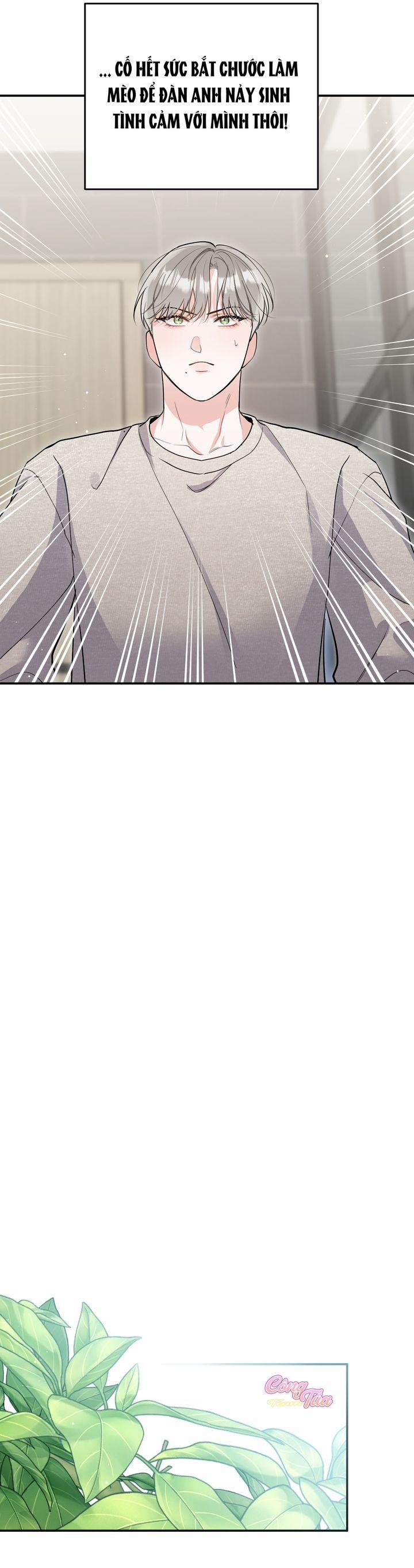 Không Phải Con Mèo Đó, Mà Là Con Mèo Này Này! 4 trang 19