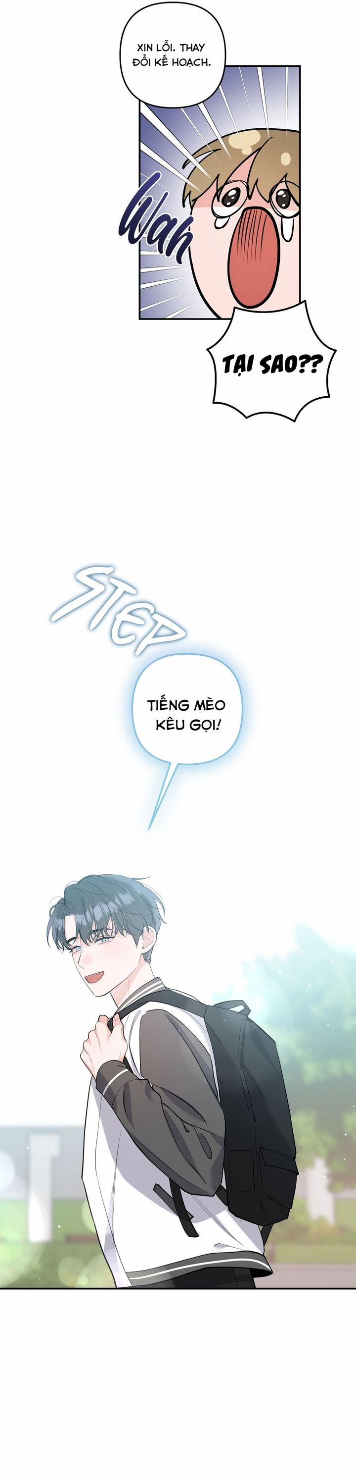 Không Phải Con Mèo Đó, Mà Là Con Mèo Này Này! 4 trang 21