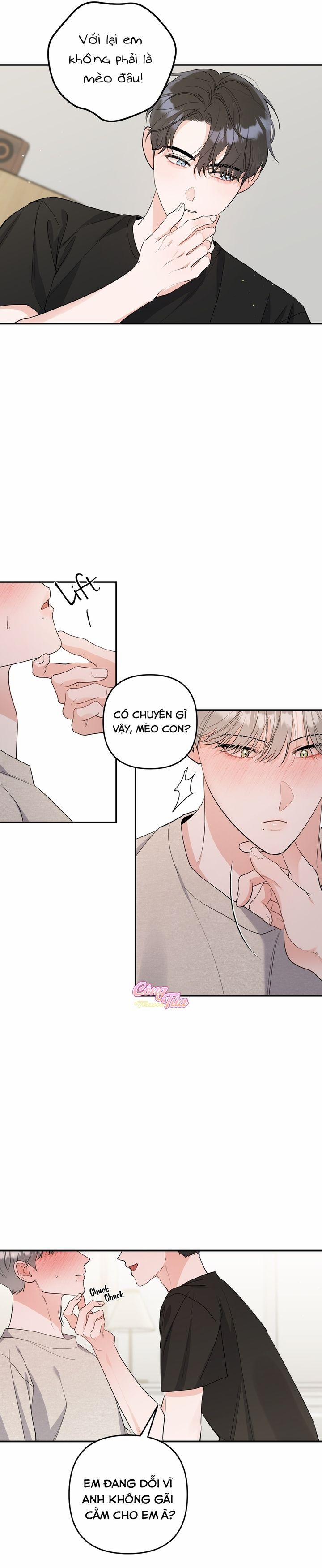 Không Phải Con Mèo Đó, Mà Là Con Mèo Này Này! 4 trang 3