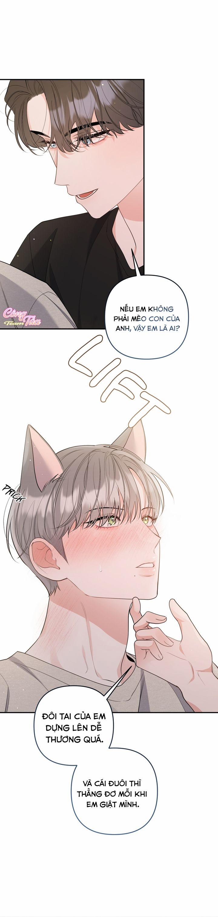 Không Phải Con Mèo Đó, Mà Là Con Mèo Này Này! 4 trang 4