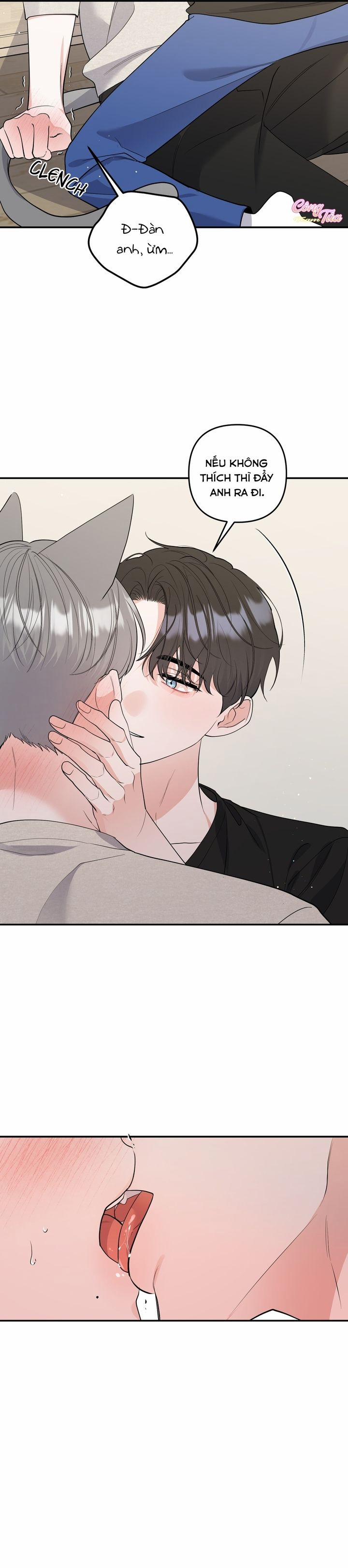 Không Phải Con Mèo Đó, Mà Là Con Mèo Này Này! 4 trang 5