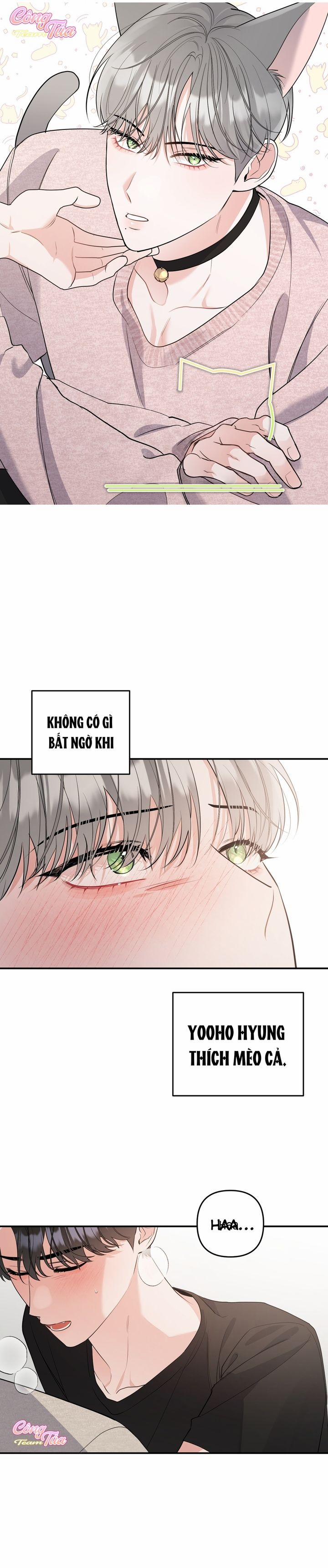 Không Phải Con Mèo Đó, Mà Là Con Mèo Này Này! 4 trang 6