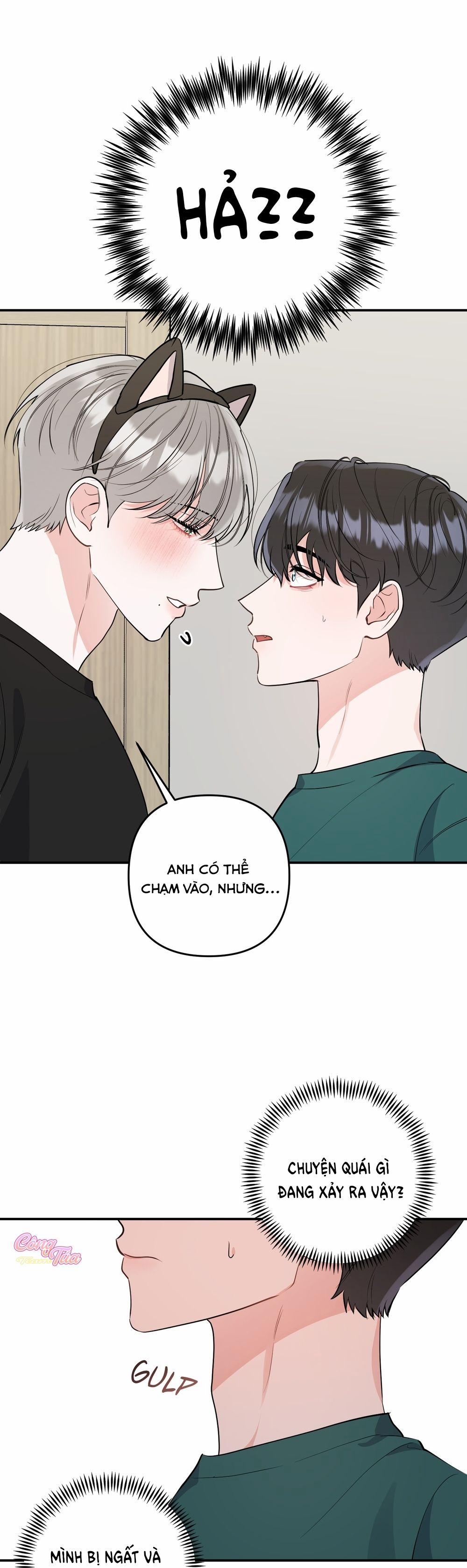 Không Phải Con Mèo Đó, Mà Là Con Mèo Này Này! 5 trang 10