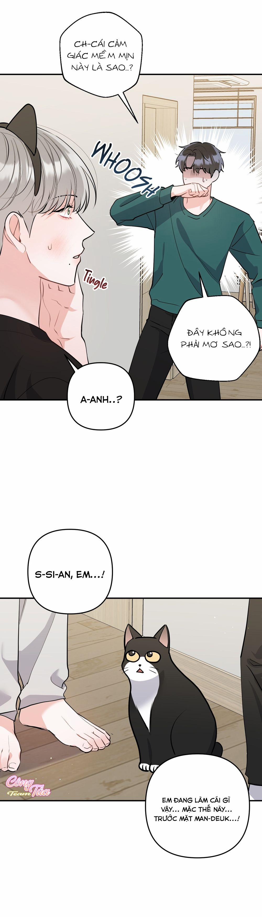 Không Phải Con Mèo Đó, Mà Là Con Mèo Này Này! 5 trang 12