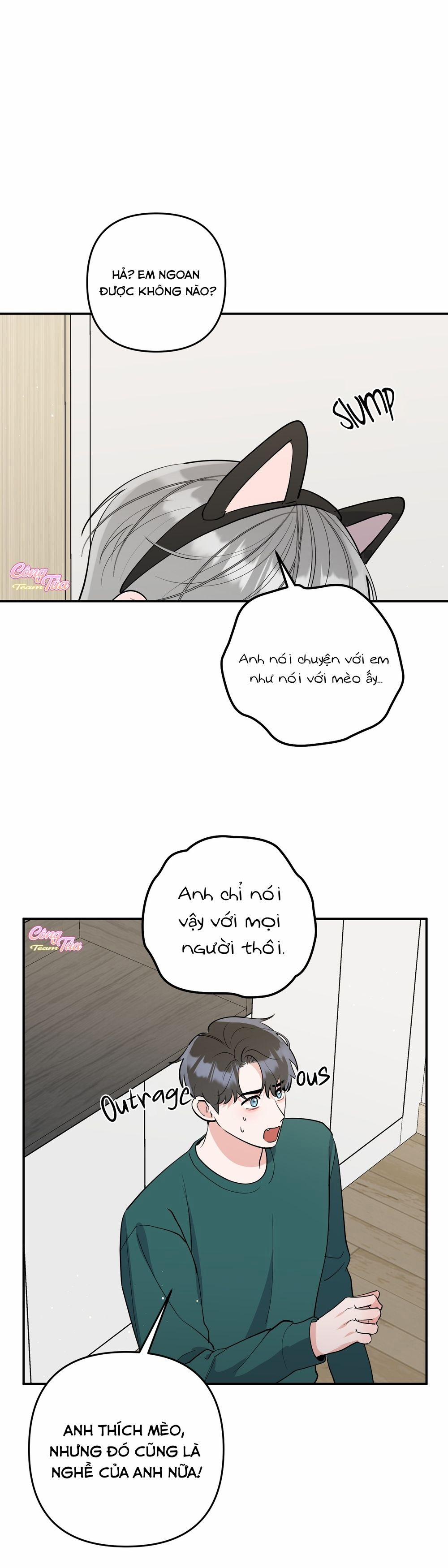 Không Phải Con Mèo Đó, Mà Là Con Mèo Này Này! 5 trang 17