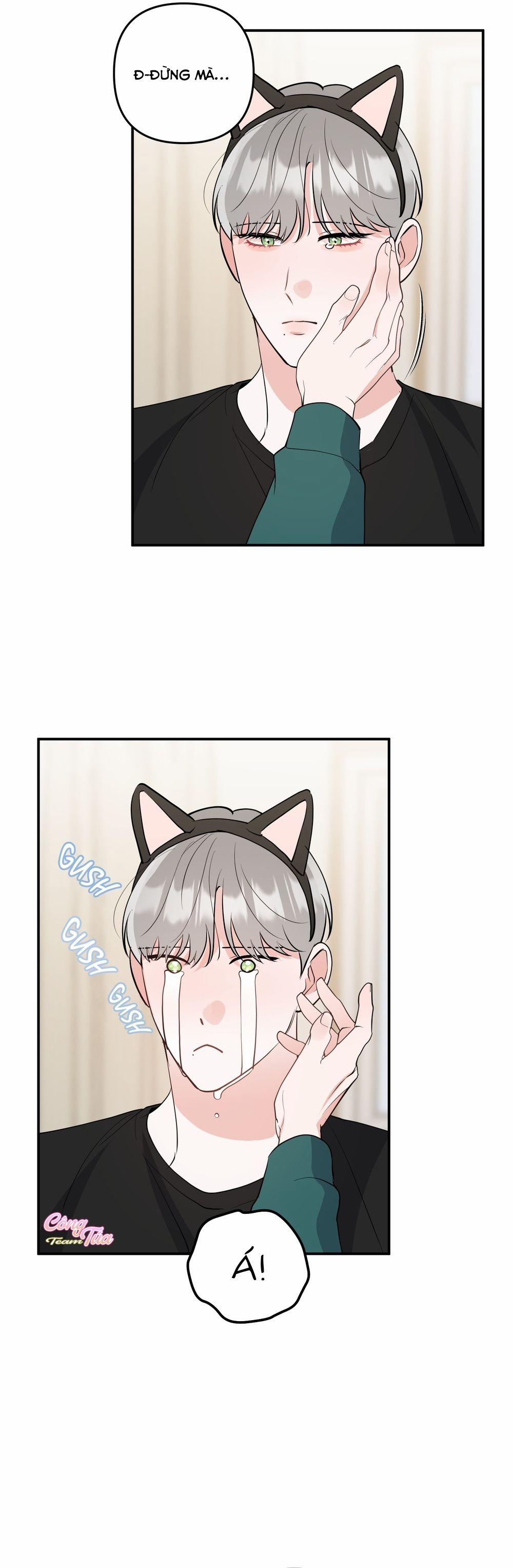 Không Phải Con Mèo Đó, Mà Là Con Mèo Này Này! 5 trang 21