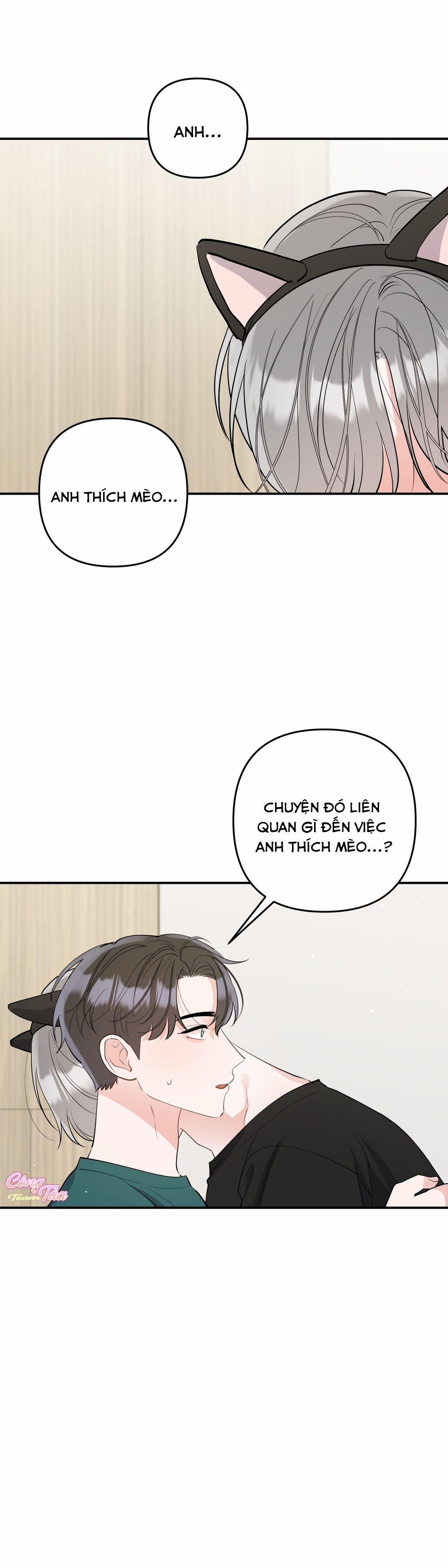 Không Phải Con Mèo Đó, Mà Là Con Mèo Này Này! 5 trang 24