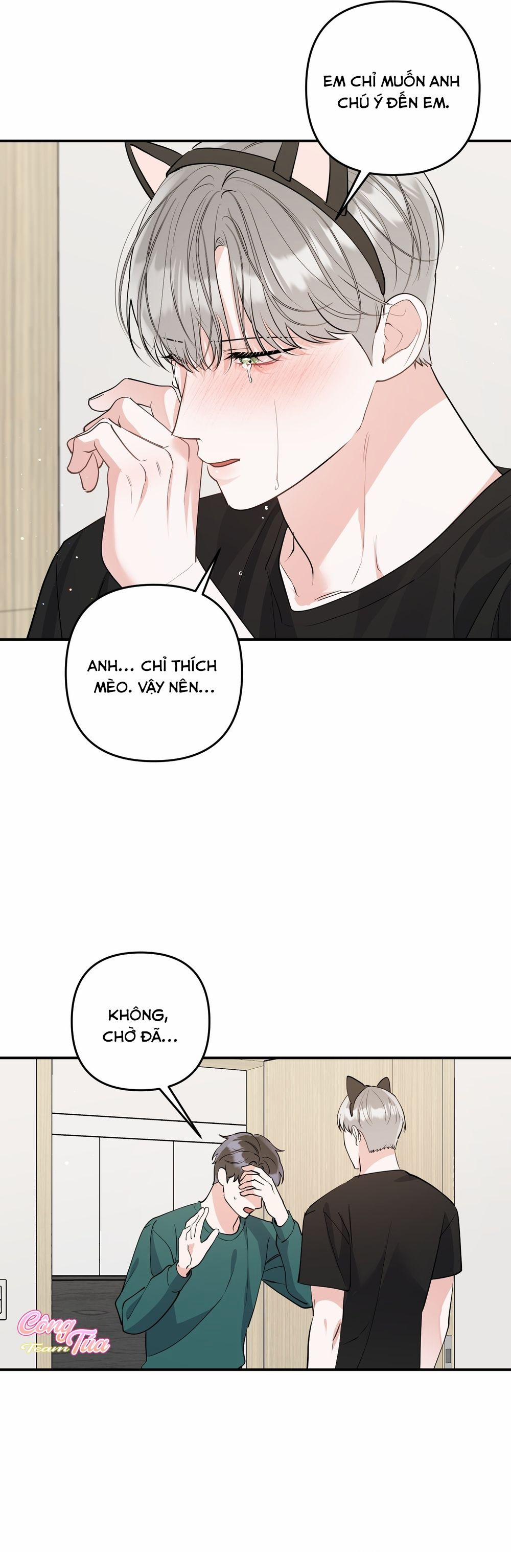 Không Phải Con Mèo Đó, Mà Là Con Mèo Này Này! 5 trang 28