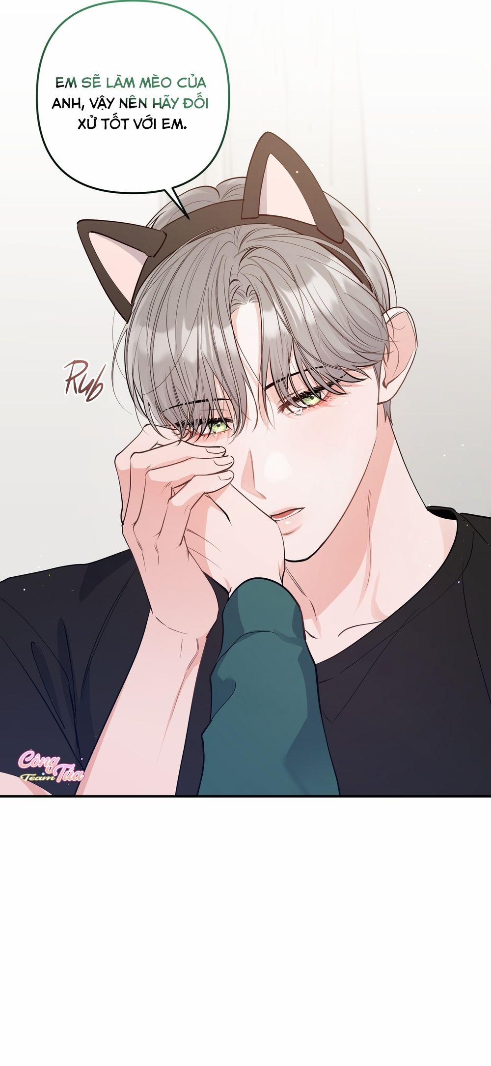 Không Phải Con Mèo Đó, Mà Là Con Mèo Này Này! 5 trang 32