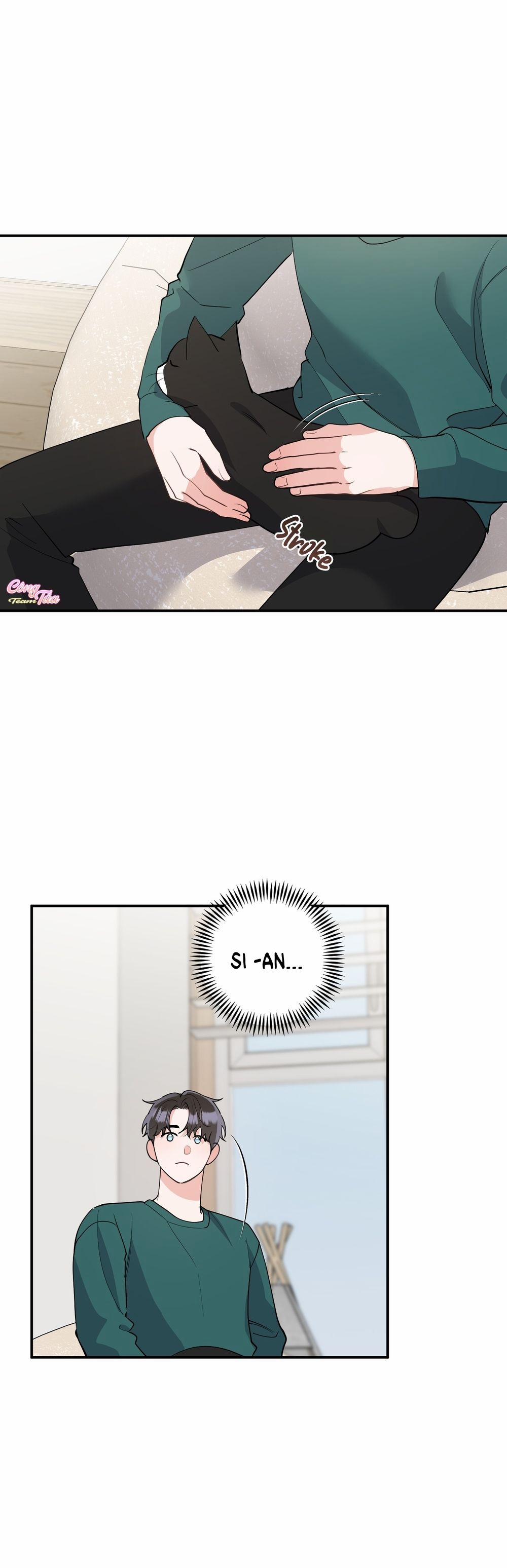 Không Phải Con Mèo Đó, Mà Là Con Mèo Này Này! 5 trang 4