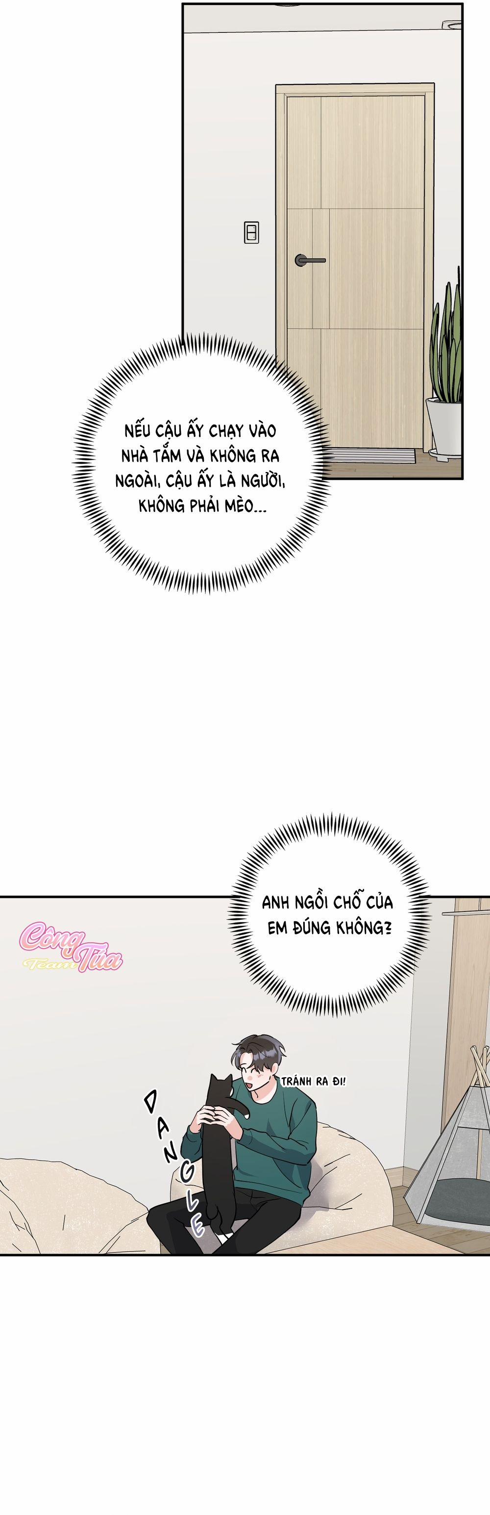 Không Phải Con Mèo Đó, Mà Là Con Mèo Này Này! 5 trang 5