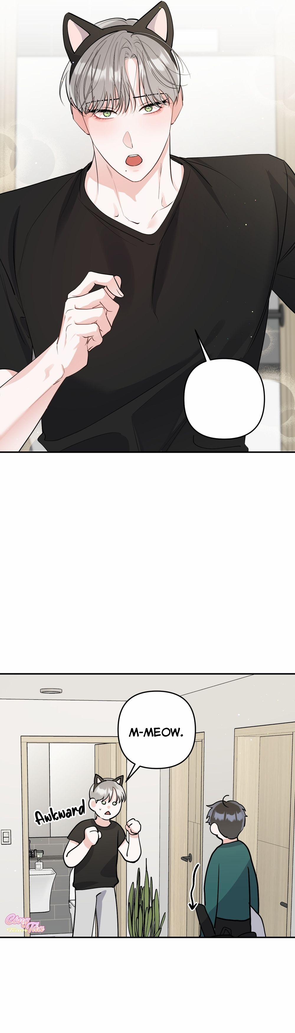 Không Phải Con Mèo Đó, Mà Là Con Mèo Này Này! 5 trang 8