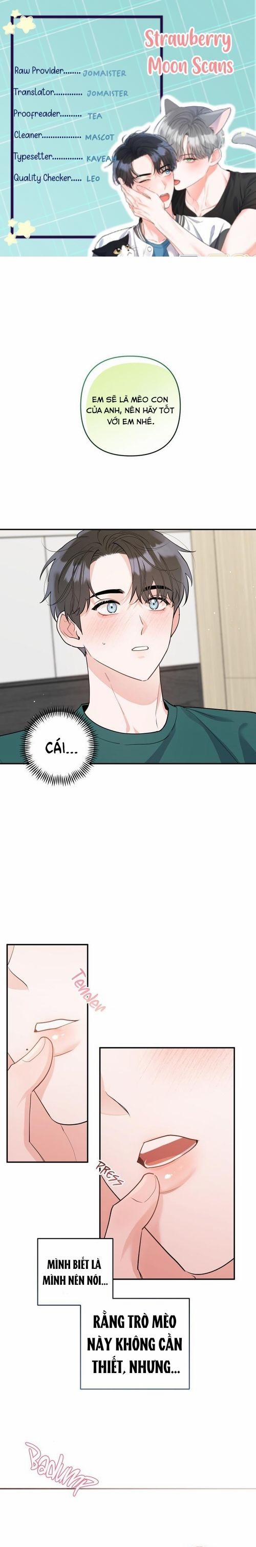 Không Phải Con Mèo Đó, Mà Là Con Mèo Này Này! 6 trang 0