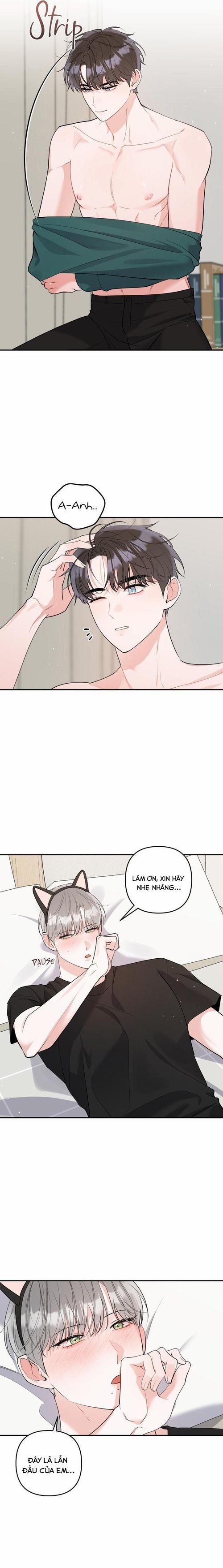 Không Phải Con Mèo Đó, Mà Là Con Mèo Này Này! 6 trang 3