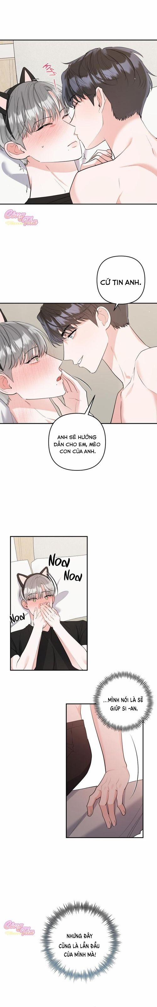 Không Phải Con Mèo Đó, Mà Là Con Mèo Này Này! 6 trang 4