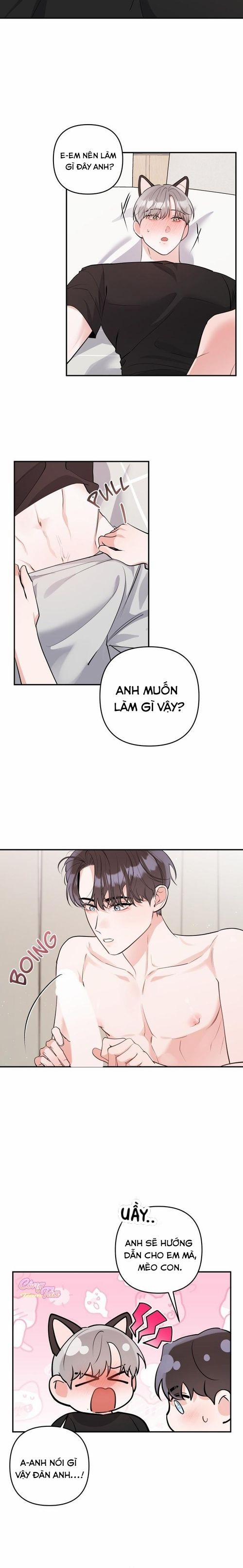 Không Phải Con Mèo Đó, Mà Là Con Mèo Này Này! 6 trang 7