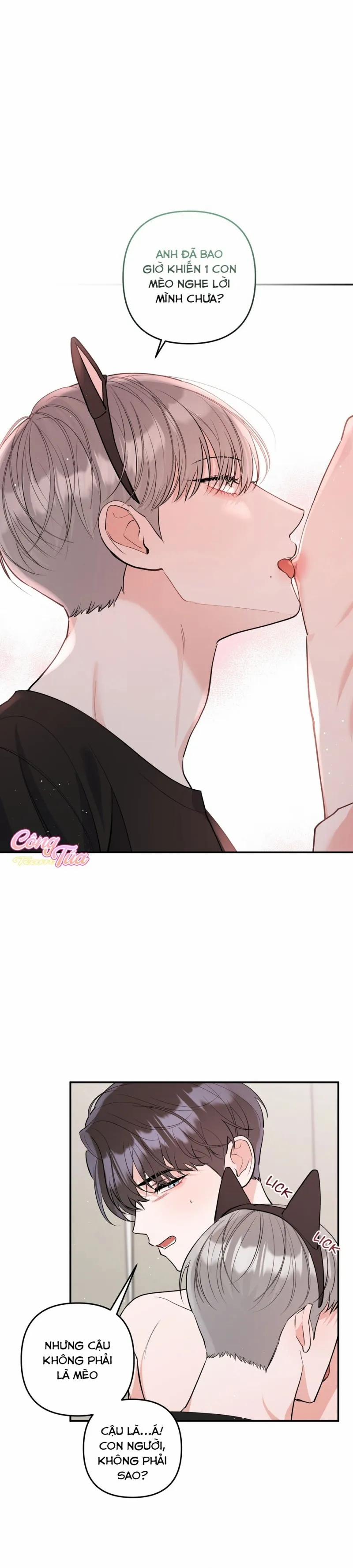 Không Phải Con Mèo Đó, Mà Là Con Mèo Này Này! 7 trang 0