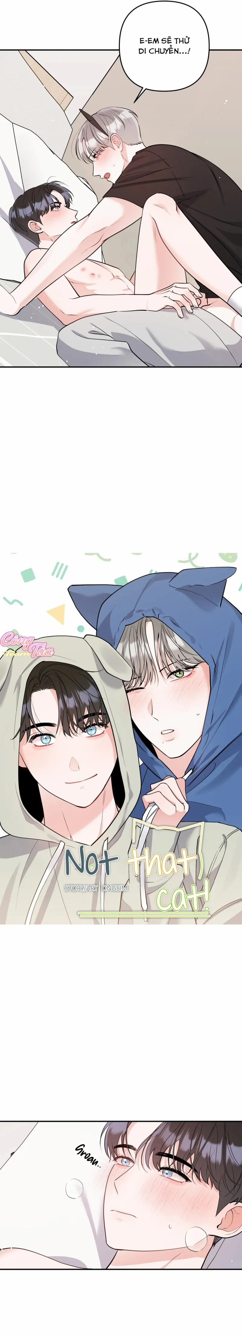 Không Phải Con Mèo Đó, Mà Là Con Mèo Này Này! 7 trang 12