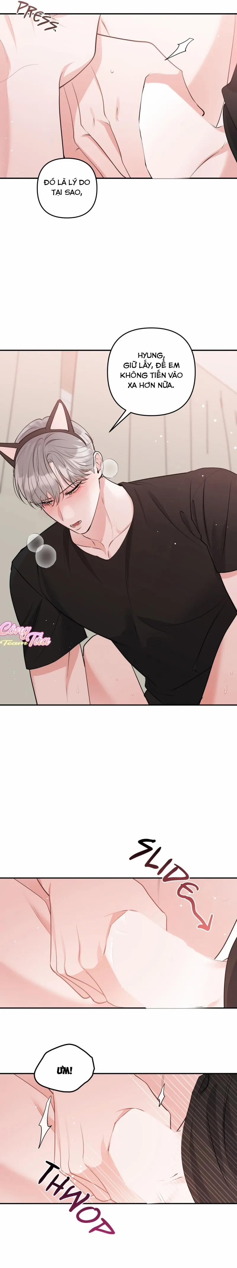 Không Phải Con Mèo Đó, Mà Là Con Mèo Này Này! 7 trang 16