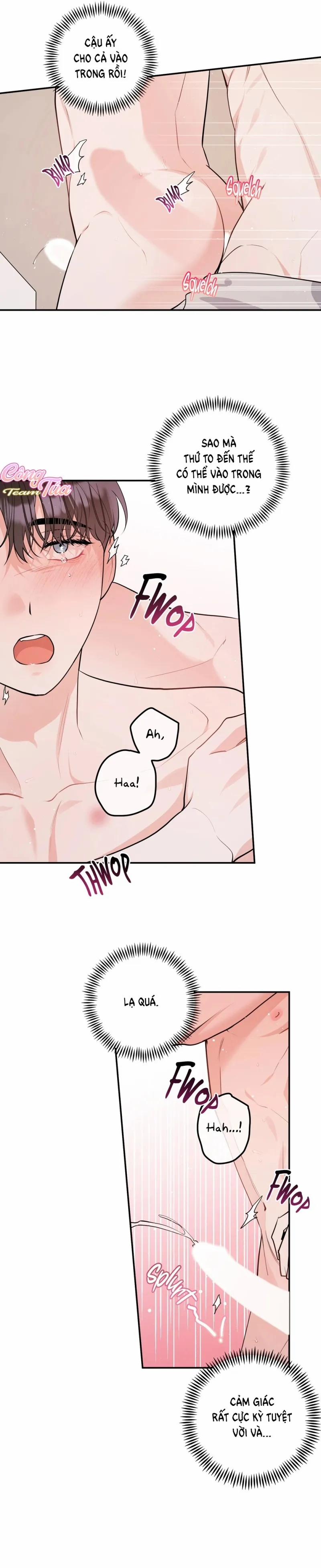 Không Phải Con Mèo Đó, Mà Là Con Mèo Này Này! 8 trang 13