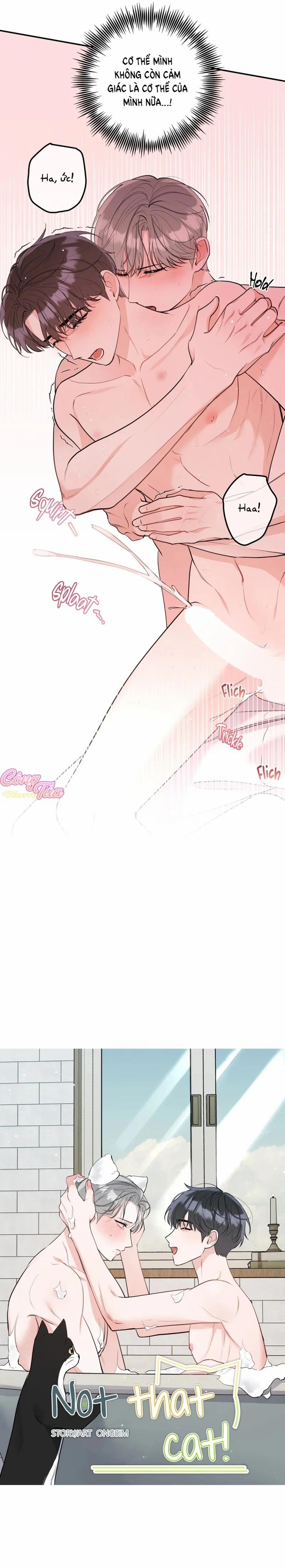 Không Phải Con Mèo Đó, Mà Là Con Mèo Này Này! 8 trang 14