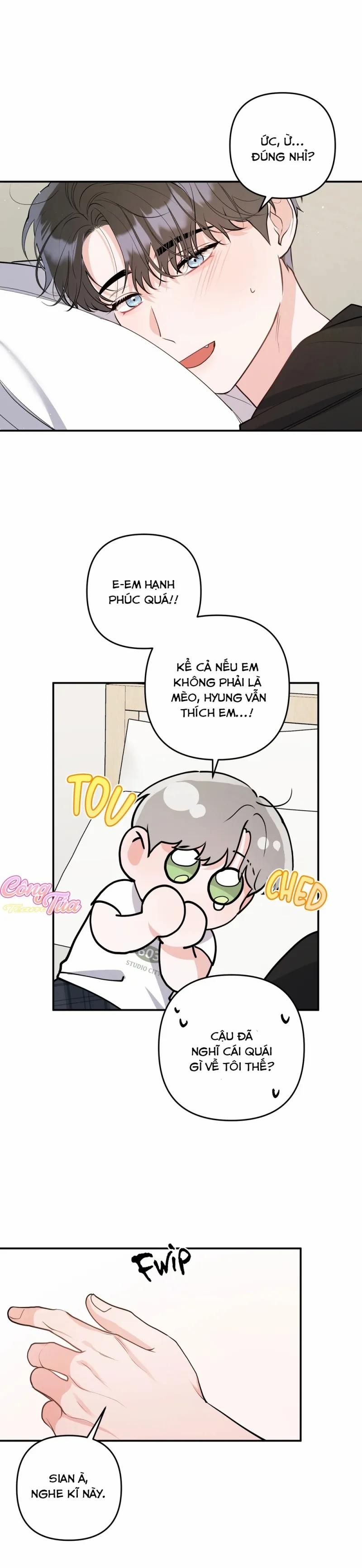 Không Phải Con Mèo Đó, Mà Là Con Mèo Này Này! 8 trang 17