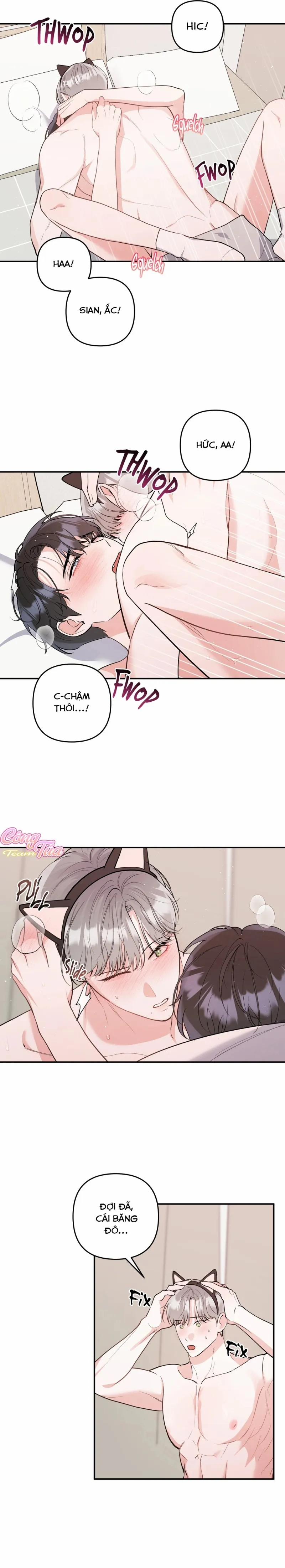 Không Phải Con Mèo Đó, Mà Là Con Mèo Này Này! 8 trang 4