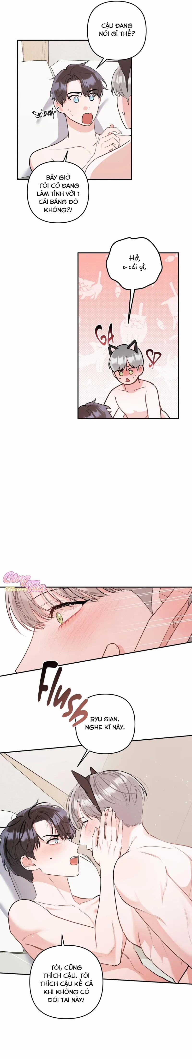 Không Phải Con Mèo Đó, Mà Là Con Mèo Này Này! 8 trang 7