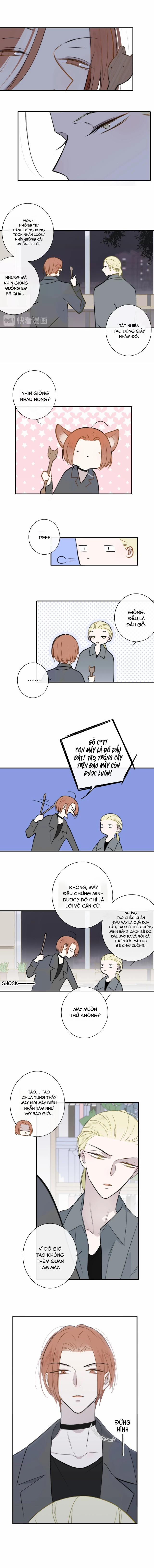 Không Phải Quan Hệ Bạn Bè 20 trang 5