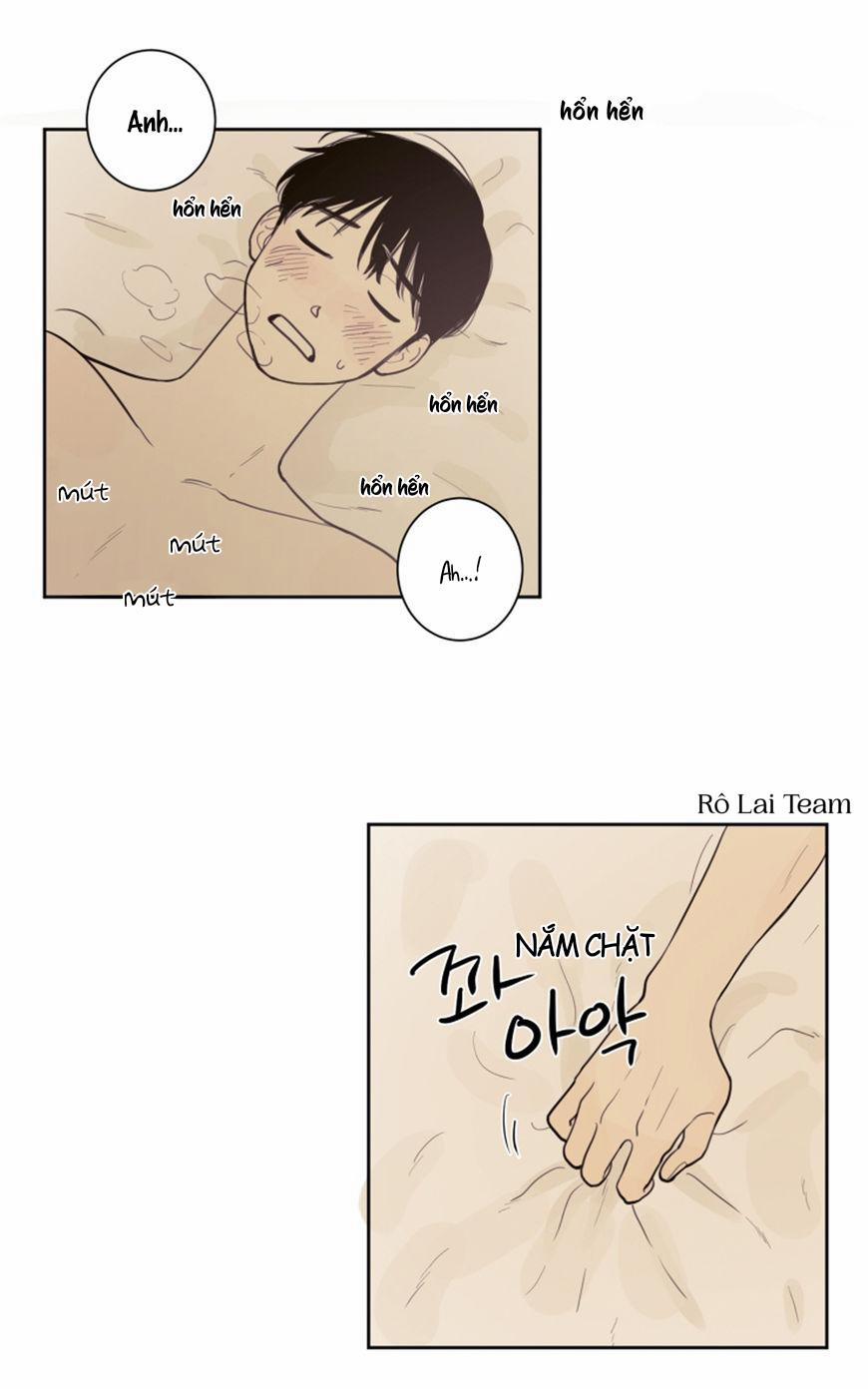 KHÔNG PHẢI SUGAR DADDY 14 trang 21