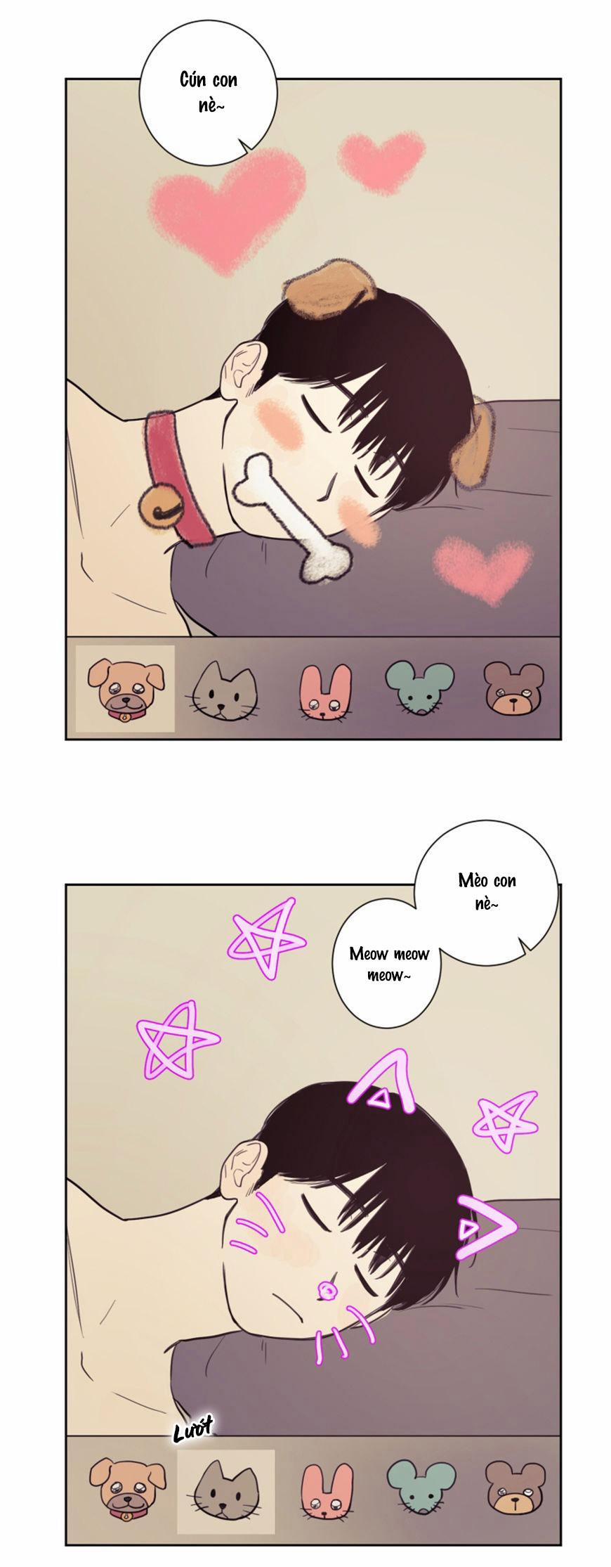 KHÔNG PHẢI SUGAR DADDY 19 trang 13