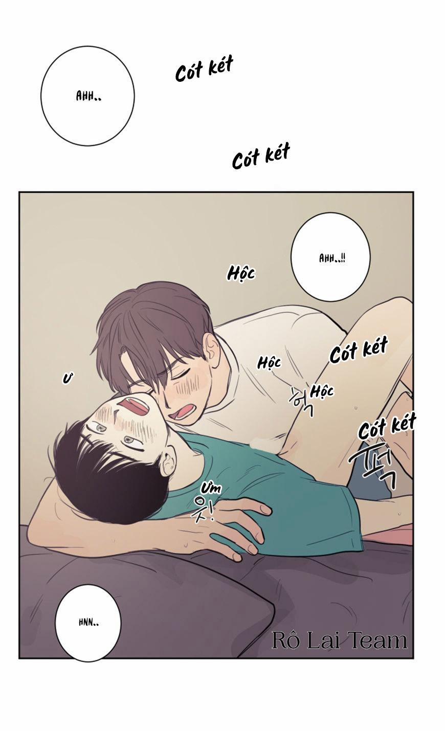 KHÔNG PHẢI SUGAR DADDY 19 trang 2