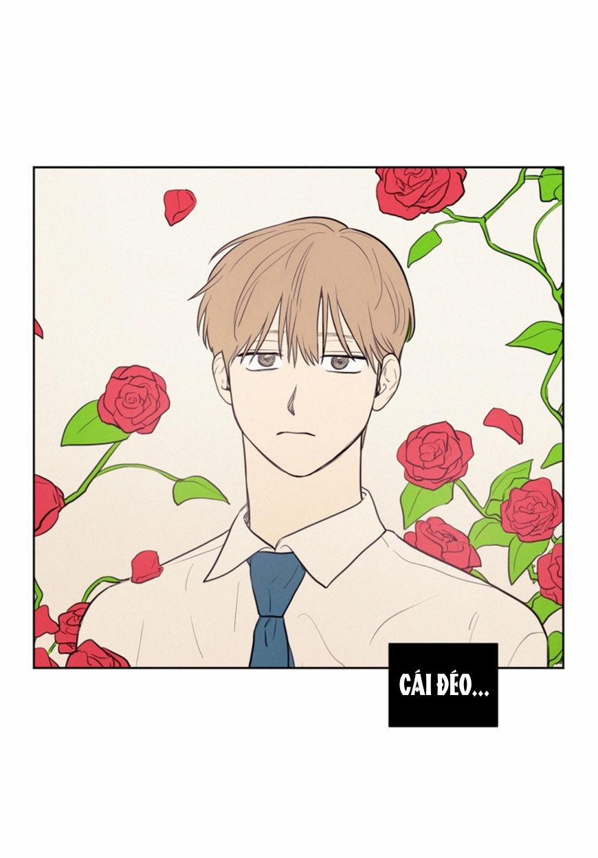 KHÔNG PHẢI SUGAR DADDY 23 trang 14