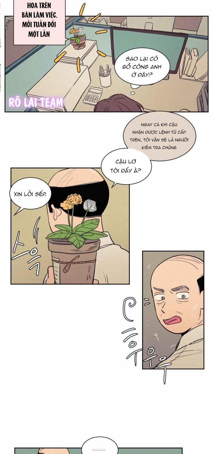 KHÔNG PHẢI SUGAR DADDY 39 trang 14